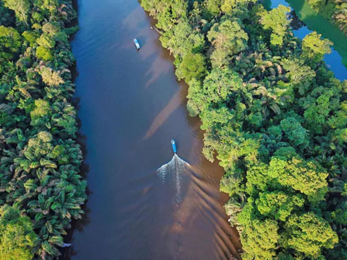 Baula Lodge Tortuguero Exterior foto