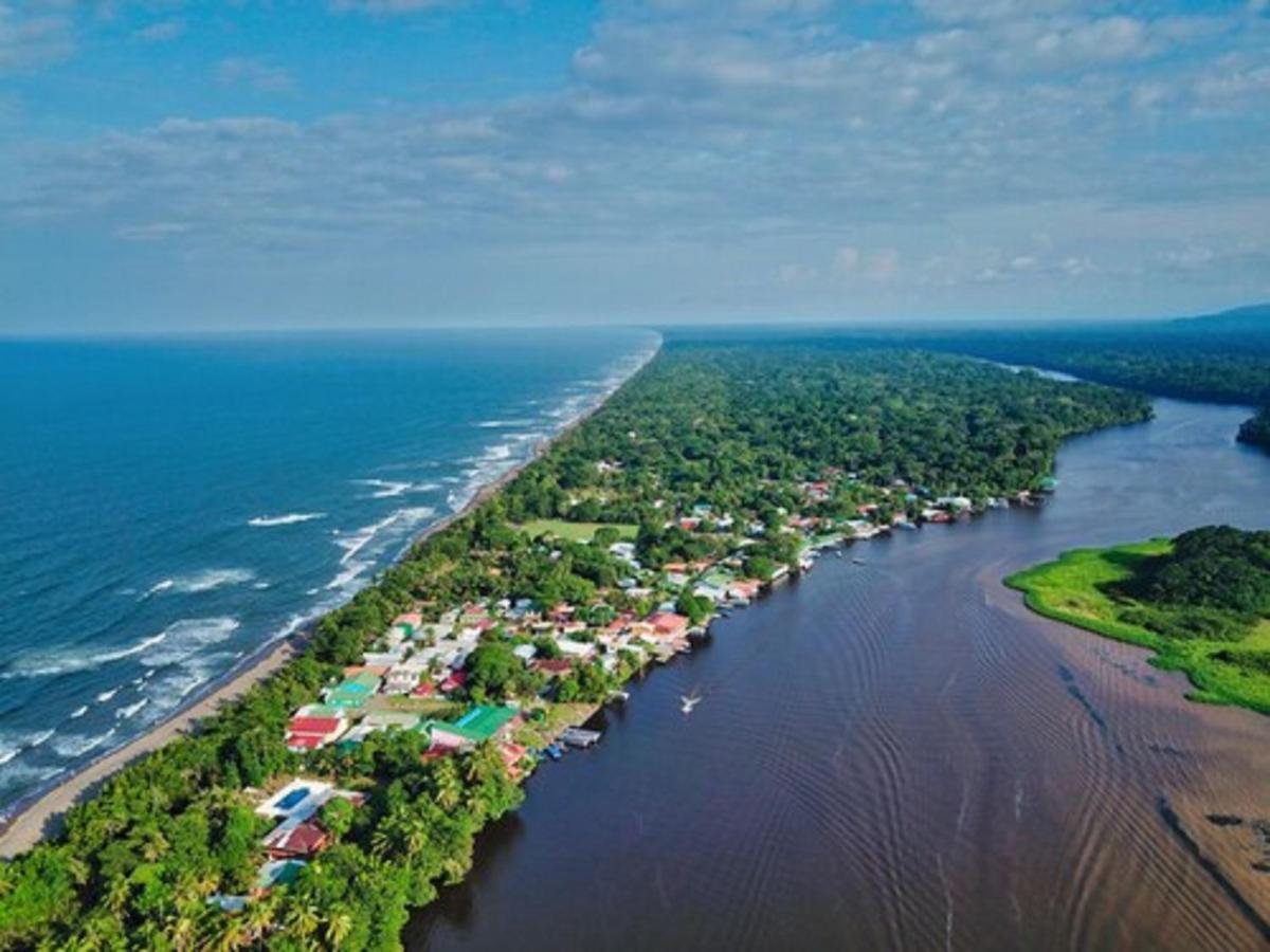 Baula Lodge Tortuguero Exterior foto
