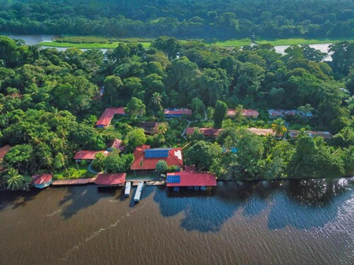 Baula Lodge Tortuguero Exterior foto