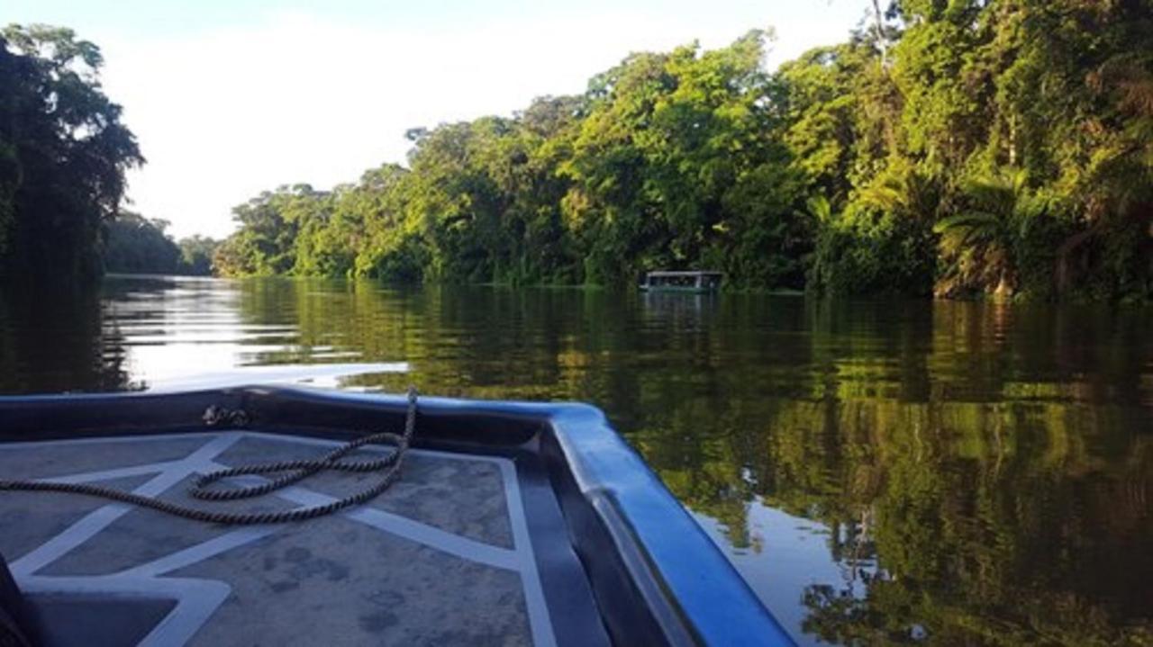 Baula Lodge Tortuguero Exterior foto